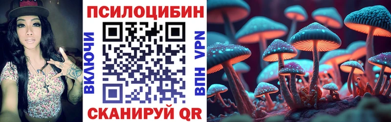 Галлюциногенные грибы мицелий  наркота  Шали 